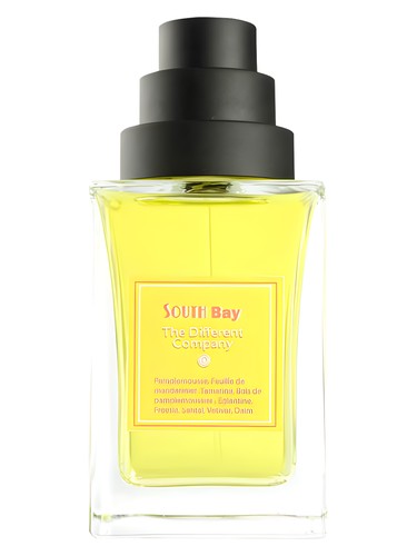 عطر ادکلن سوت بِی د دیفرنت کامپنی - South Bay The Different Company - بررسی، قیمت و خرید