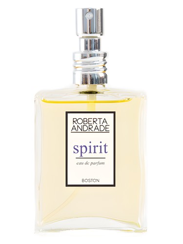 عطر ادکلن اسپریت رابرتا آندراده - Spirit Roberta Andrade - بررسی، قیمت و خرید