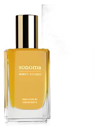 عطر ادکلن اسپایسد سیترس وتیور سونوما سنت استودیو - Spiced Citrus Vetiver Sonoma Scent Studio - بررسی، قیمت و خرید