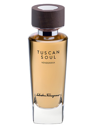 عطر ادکلن وندِمیا سالواتوره فراگامو - Vendemmia (2013) Salvatore Ferragamo - بررسی، قیمت و خرید