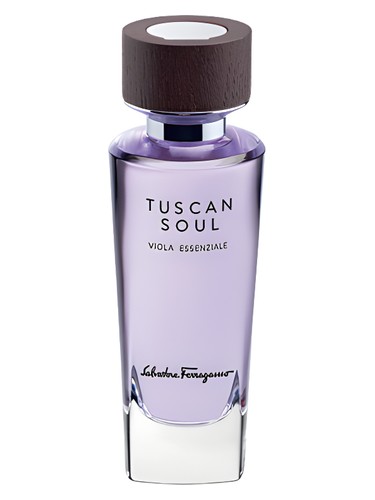 عطر ادکلن ویولا اسنسیال سالواتوره فراگامو - Viola Essenziale (2013) Salvatore Ferragamo - بررسی، قیمت و خرید