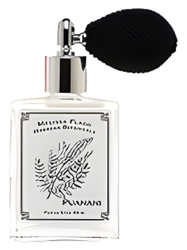 عطر ادکلن پوانانی ملیسا فلگ پرفیوم - Puanani Melissa Flagg Perfume - بررسی، قیمت و خرید