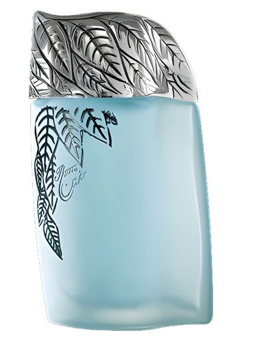 عطر ادکلن رزین جونید پرفیومز - Razeen Junaid Perfumes - بررسی، قیمت و خرید