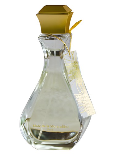 عطر ادکلن ناتسوکو مارک دلا موراندیه - Natsuko Marc de la Morandiere - بررسی، قیمت و خرید
