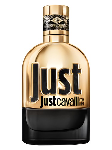 عطر ادکلن جاست کاوالی گلد فور هیم روبرتو کاوالی - Just Cavalli Gold for Him Roberto Cavalli - بررسی، قیمت و خرید