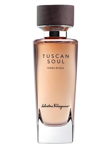عطر ادکلن ترا روسا سالواتوره فراگامو - Terra Rossa Salvatore Ferragamo - بررسی، قیمت و خرید
