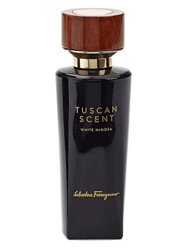 عطر ادکلن وایت میموزا سالواتوره فراگامو - White Mimosa Salvatore Ferragamo - بررسی، قیمت و خرید