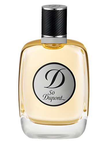 عطر ادکلن سو دوپونت پور هوم اس تی دوپونت - So Dupont Pour Homme S.T. Dupont - بررسی، قیمت و خرید