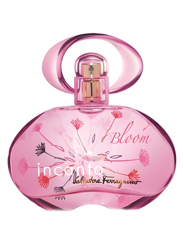 عطر ادکلن اینکانتو بلوم سالواتوره فراگامو - Incanto Bloom (2014) Salvatore Ferragamo - بررسی، قیمت و خرید