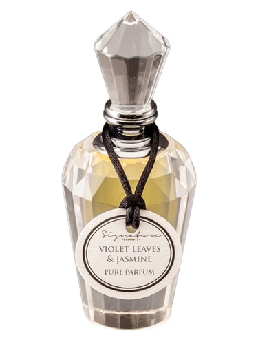 عطر ادکلن ویولت لیوز اند جاسمین سیگنچر فرگرنسز - Violet Leaves & Jasmine Signature Fragrances - بررسی، قیمت و خرید