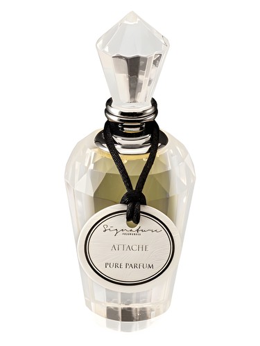 عطر ادکلن اتاچه سگنیچر فراگرنسز - Attache Signature Fragrances - بررسی، قیمت و خرید
