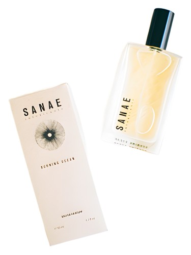 عطر ادکلن برنینگ اوشن سانای اینتاکسیکنتس - Burning Ocean Sanae Intoxicants - بررسی، قیمت و خرید