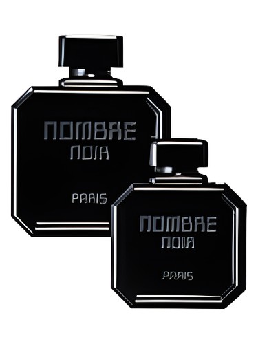 عطر ادکلن نومبر نویر شیسیدو - Nombre Noir Shiseido - بررسی، قیمت و خرید