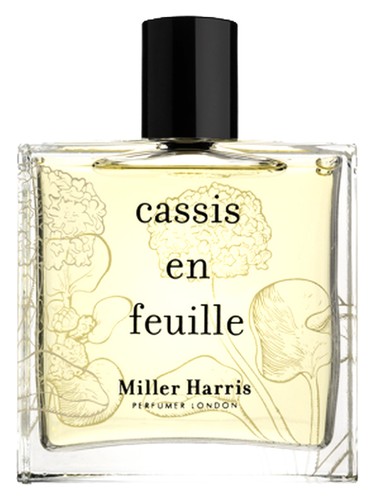 عطر ادکلن کاسیس آن فوی میلر هریس - Cassis en Feuille Miller Harris - بررسی، قیمت و خرید