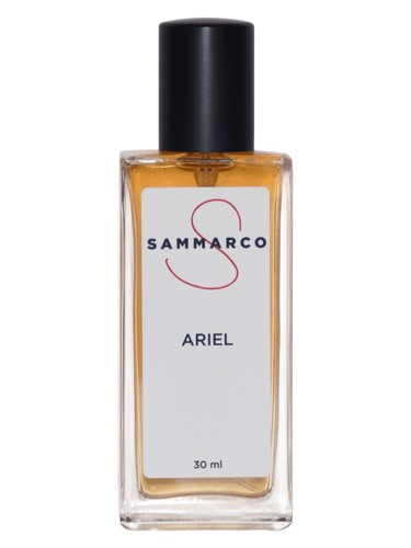 عطر ادکلن اریل سامارکو - Ariel Sammarco - بررسی، قیمت و خرید