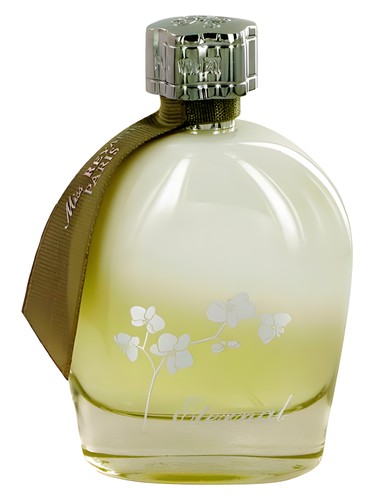 عطر ادکلن میس ریان اترنال ریانه تردیشن - Miss Reyane Eternal Reyane Tradition - بررسی، قیمت و خرید