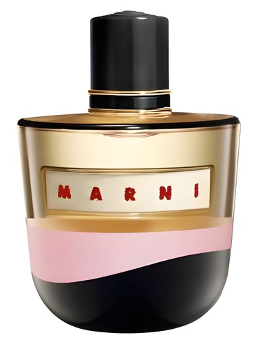 عطر ادکلن مارنی المنت مارنی - Marni Element Marni - بررسی، قیمت و خرید