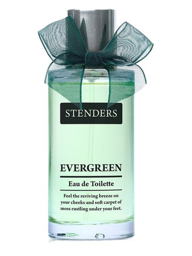 عطر ادکلن اِوِرگِرین استندرز - Evergreen Stenders - بررسی، قیمت و خرید