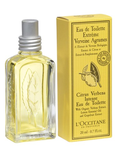عطر ادکلن سیترس وربنا اینتنس لوکسی تان ان پروانس - Citrus Verbena Intense L'Occitane en Provence - بررسی، قیمت و خرید