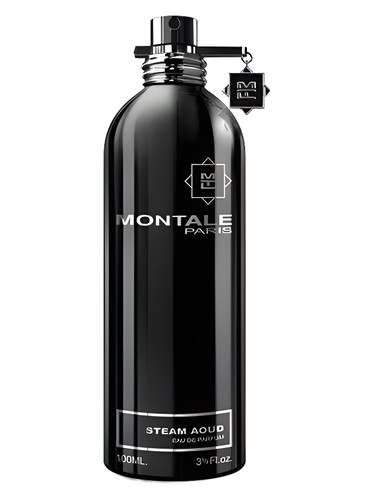 عطر ادکلن استیم عود مونتال - Steam Aoud (Aoud Hoggar Mota) Montale - بررسی، قیمت و خرید