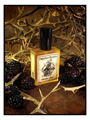 عطر ادکلن تورنوود تیکت سولستیس سنتس - Thornwood Thicket Solstice Scents - بررسی، قیمت و خرید
