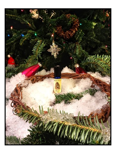 عطر ادکلن وینزلوز سولستیسی سنتس - Winslow's Solstice Scents - بررسی، قیمت و خرید