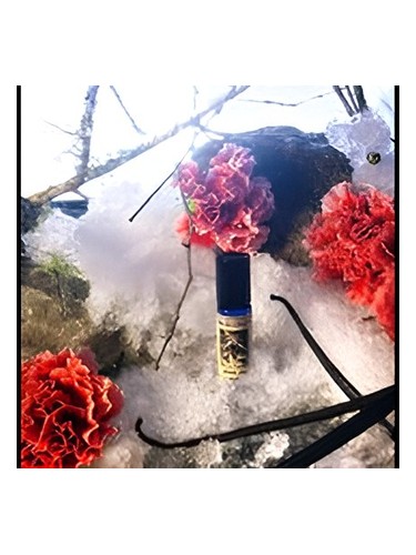 عطر ادکلن وینتر داو سُلستیس سنتس - Winter Dove Solstice Scents - بررسی، قیمت و خرید