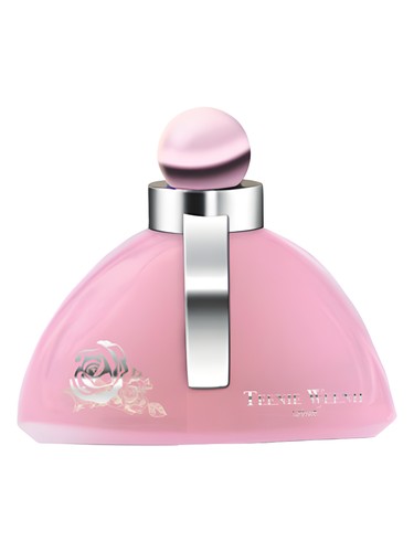 عطر ادکلن تینی وینی پینک وینچی - Teenie Weenie Pink Vinci - بررسی، قیمت و خرید