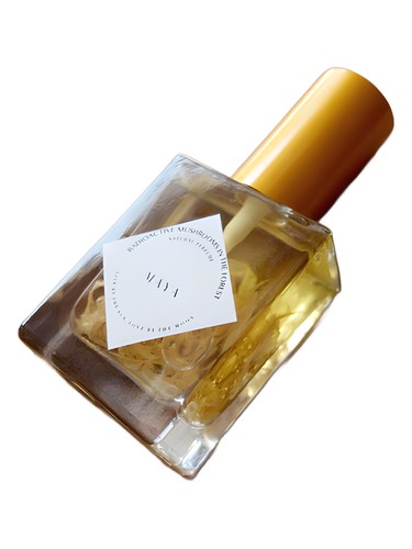 عطر ادکلن مایا رادیواکتیو ماشرومز این د فُرِست - Maya Radioactive Mushrooms in the Forest - بررسی، قیمت و خرید