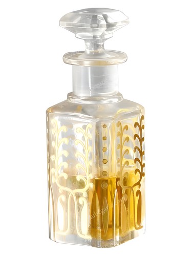 عطر ادکلن ان.یازده اینستسی - N.11 InEstasy - بررسی، قیمت و خرید