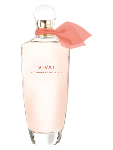 عطر ادکلن ویوا ویکتوریو اند لوچینو - Viva! Victorio & Lucchino - بررسی، قیمت و خرید