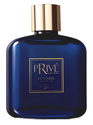 عطر ادکلن پریوه اوم فورچون جکیتی - Privé Homme Fortune Jequiti - بررسی، قیمت و خرید