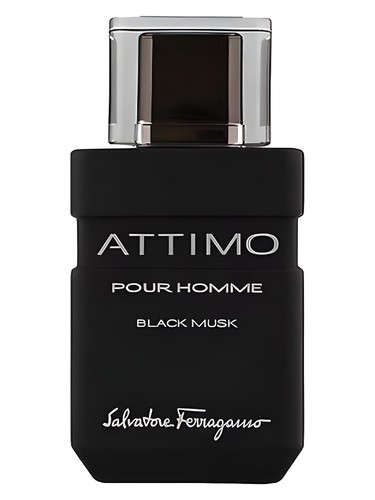 عطر ادکلن اتیمو بلک ماسک پور هوم سالواتوره فراگامو - Attimo Black Musk Pour Homme Salvatore Ferragamo - بررسی، قیمت و خرید