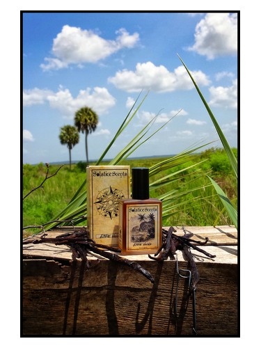 عطر ادکلن استیت وانیلا سولستیس اسنتس - Estate Vanilla Solstice Scents - بررسی، قیمت و خرید