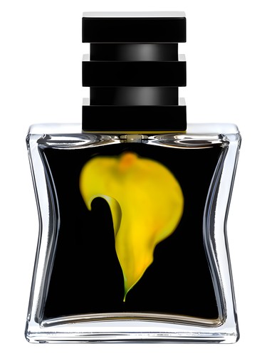 عطر ادکلن شماره ۲۳ اس جی هفتاد و نه اس تی اچ ال ام - Nº 23 SG79 STHLM - بررسی، قیمت و خرید