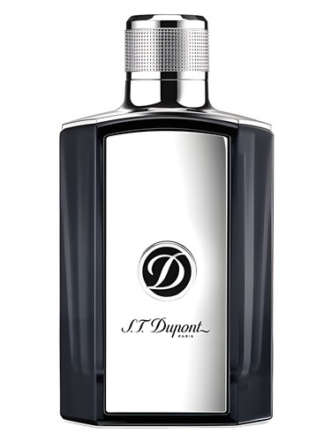 عطر ادکلن بی ایکسپشنال اس تی دوپونت - Be Exceptional S.T. Dupont - بررسی، قیمت و خرید