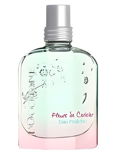 عطر ادکلن فلور دو سریزیه او فرش لوکسی‌تان - Fleurs de Cerisier Eau Fraîche L'Occitane en Provence - بررسی، قیمت و خرید