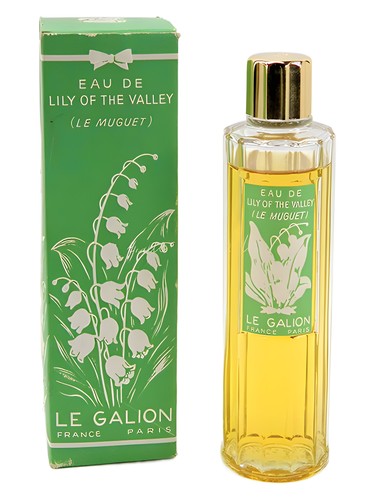 عطر ادکلن لیلی آو دِ ولی لو گالیون - Lily of the Valley Le Galion - بررسی، قیمت و خرید