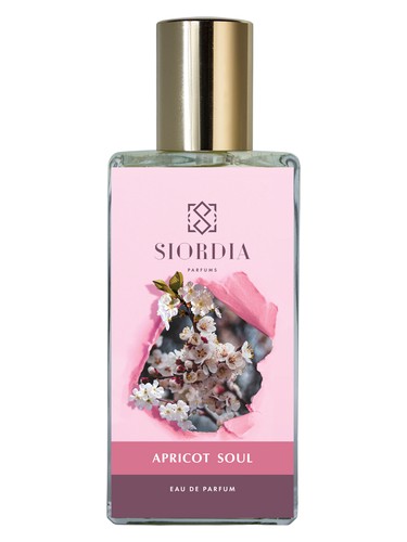 عطر ادکلن آپریکات سول سیوردیا پرفیومز - Apricot Soul Siordia Parfums - بررسی، قیمت و خرید