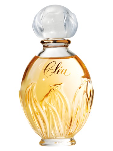 عطر ادکلن کلی ایوروشه - Clea Yves Rocher - بررسی، قیمت و خرید