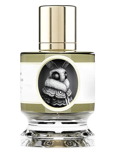 عطر ادکلن مات زولاجیست پرفیومز - Moth Zoologist Perfumes - بررسی، قیمت و خرید