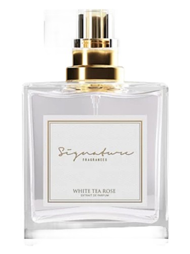 عطر ادکلن وایت تی رز ساینچِر فِرِگرَنسز - White Tea Rose Signature Fragrances - بررسی، قیمت و خرید