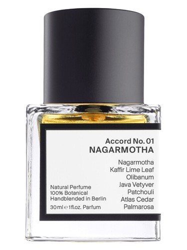عطر ادکلن اکورد نامبر زیرو وان: ناگارموثا رایر سنتس - Accord No. 01: Nagarmotha RAER Scents - بررسی، قیمت و خرید