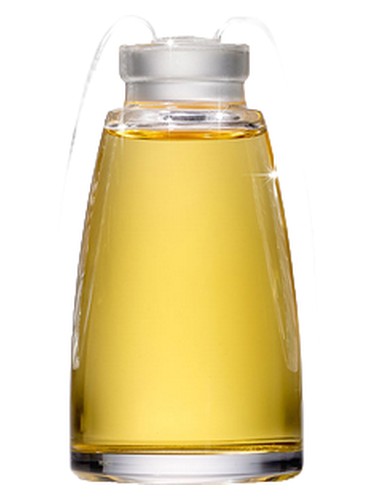 عطر ادکلن - Amorem Rose Shalini - بررسی، قیمت و خرید