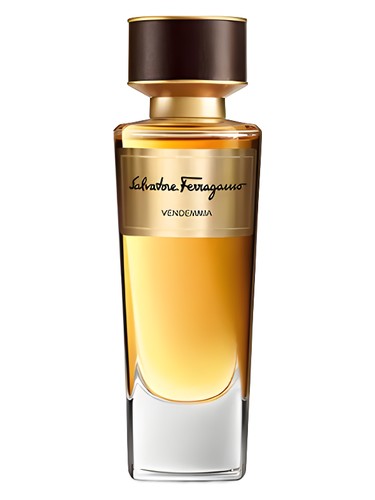 عطر ادکلن وندیمیا سالواتوره فراگامو - Vendemmia Salvatore Ferragamo - بررسی، قیمت و خرید