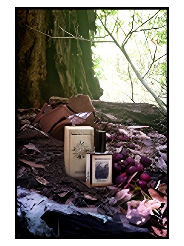 عطر ادکلن بِلَک فاریست سولستیس سنتس - Black Forest Solstice Scents - بررسی، قیمت و خرید