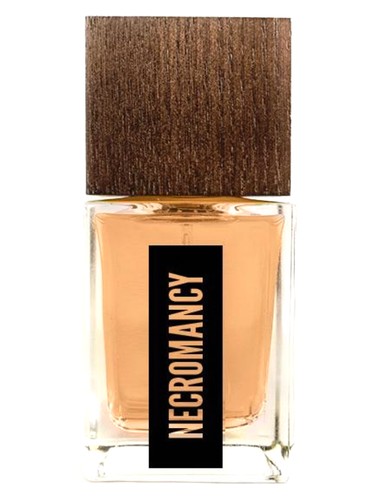 عطر ادکلن نکرومنسی سیکسین ناینتی تو - Necromancy Sixteen92 - بررسی، قیمت و خرید