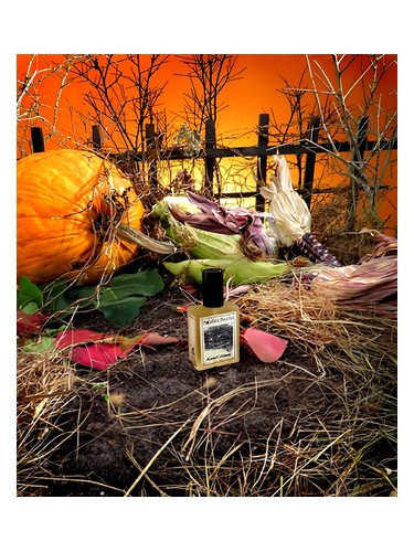 عطر ادکلن فاکس‌کرافت اینتنس سولستیس سنتس - Foxcroft Intense Solstice Scents - بررسی، قیمت و خرید