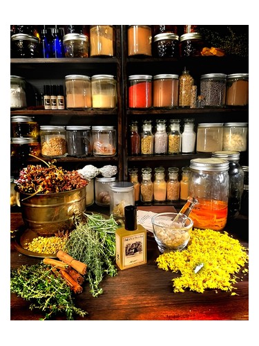 عطر ادکلن ویلکاکس سولستیس سنتس - Wilcox's Solstice Scents - بررسی، قیمت و خرید