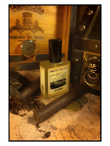 عطر ادکلن اولد هاوانا سولستیس سنتس - Old Havana Solstice Scents - بررسی، قیمت و خرید